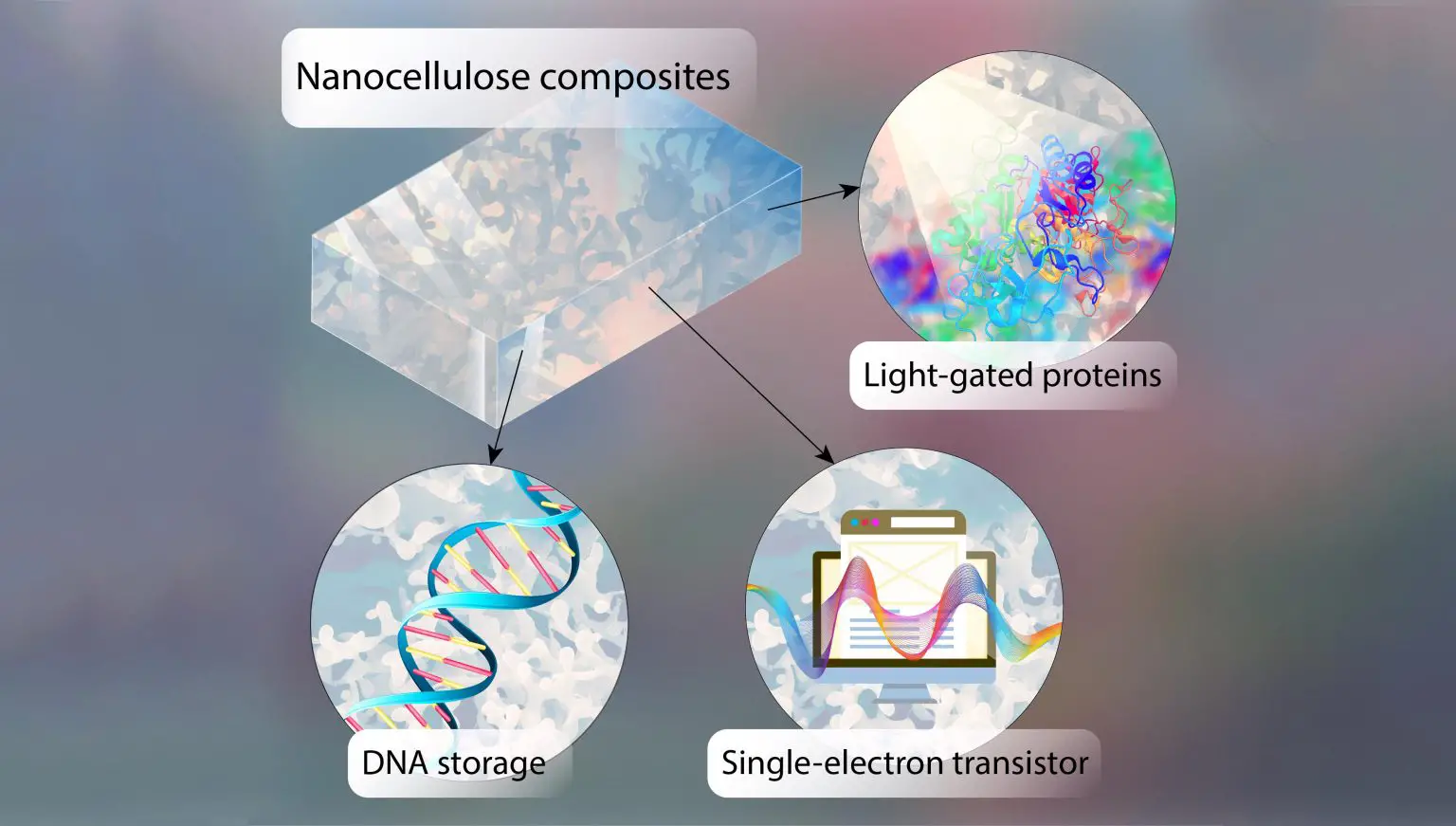 DNA-Chip-Design-1536x871.webp