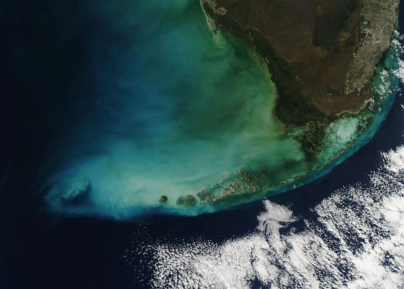 NASA-MODIS-Florida-Keys-Algal-Blooms.webp