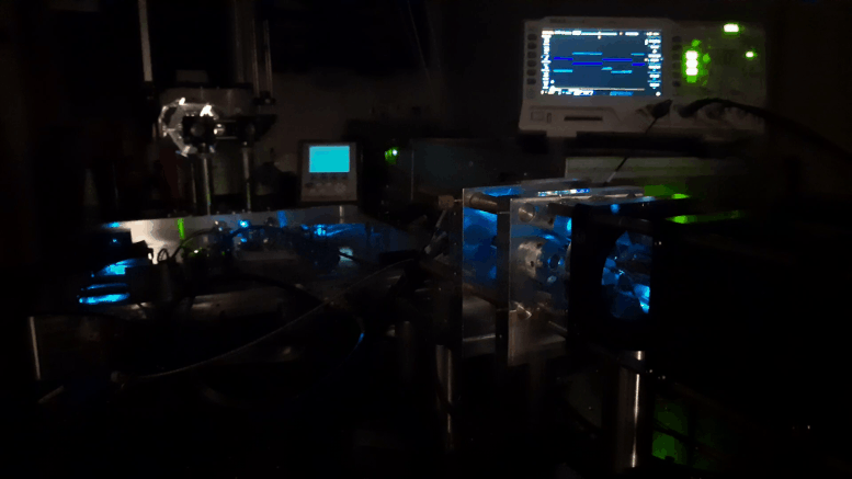 New-Fluorescence-Microscope-Setup.gif