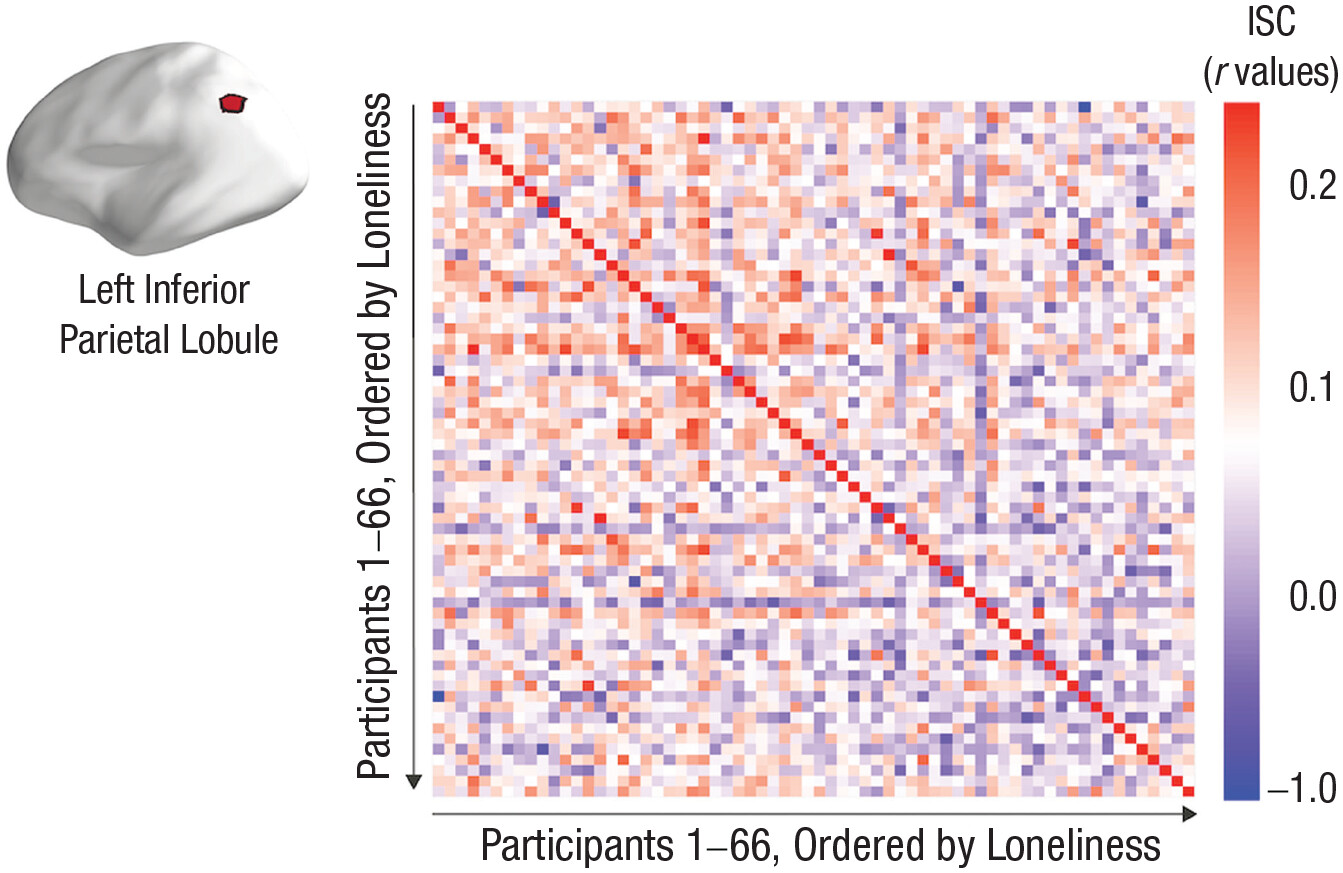 images_large_10.1177_09567976221145316-fig3.jpeg