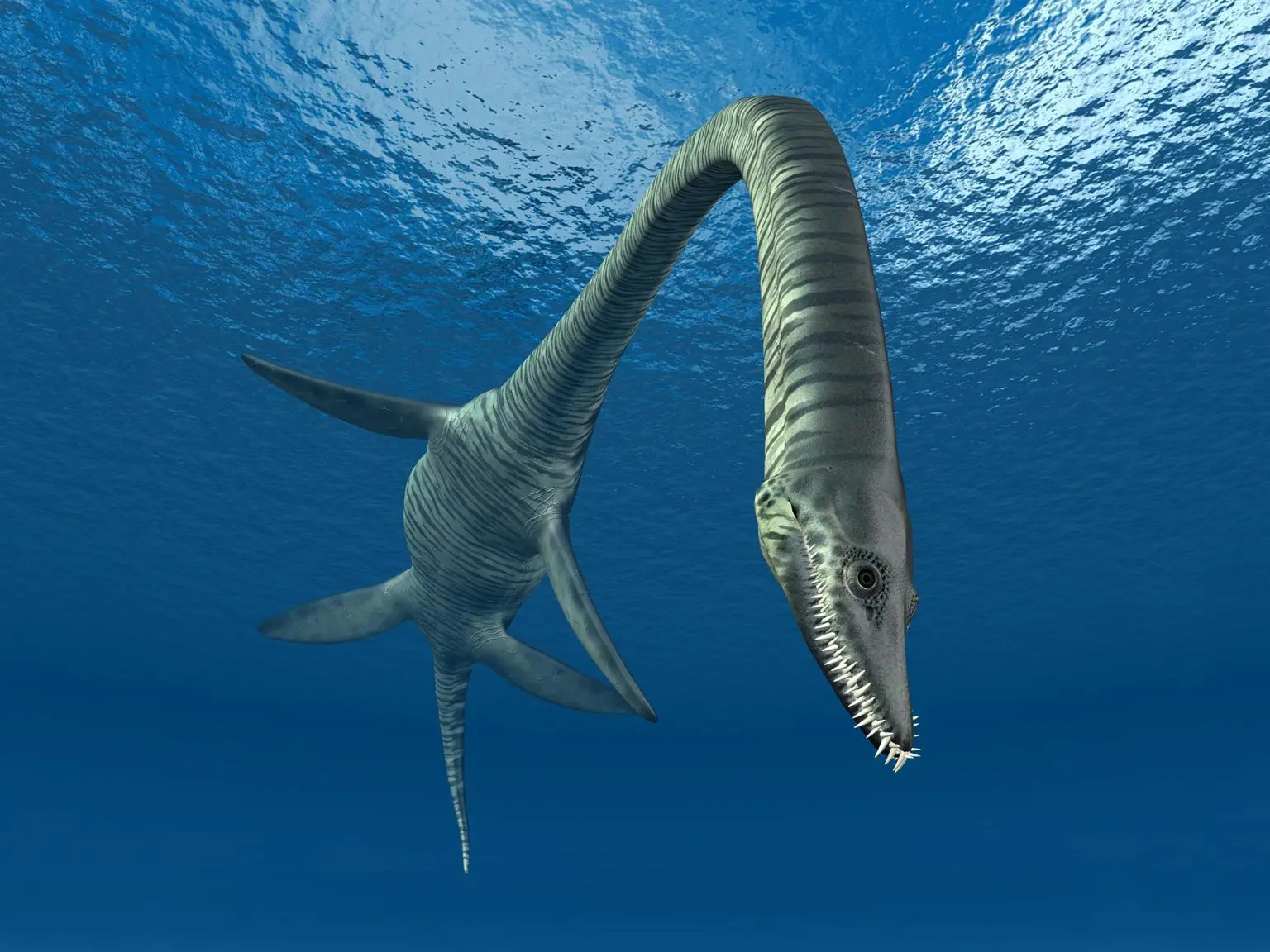 Plesiosaur-Elasmosaurus-1536x1152.webp
