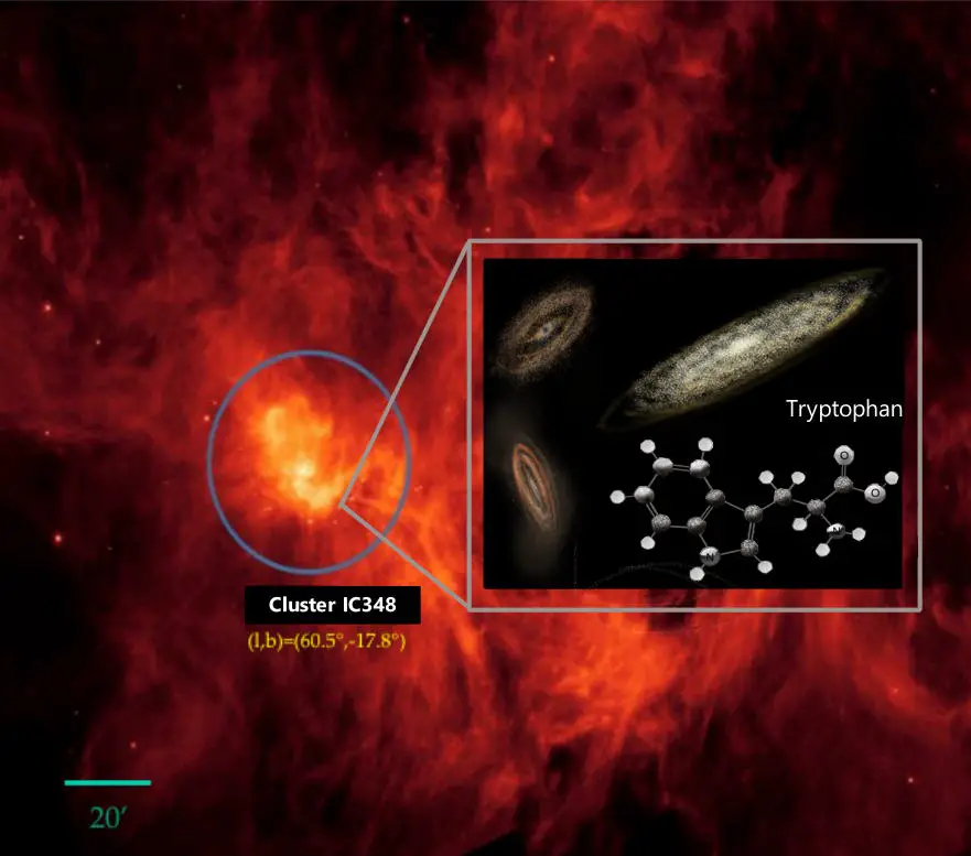 Tryptophan-Found-in-Space.webp