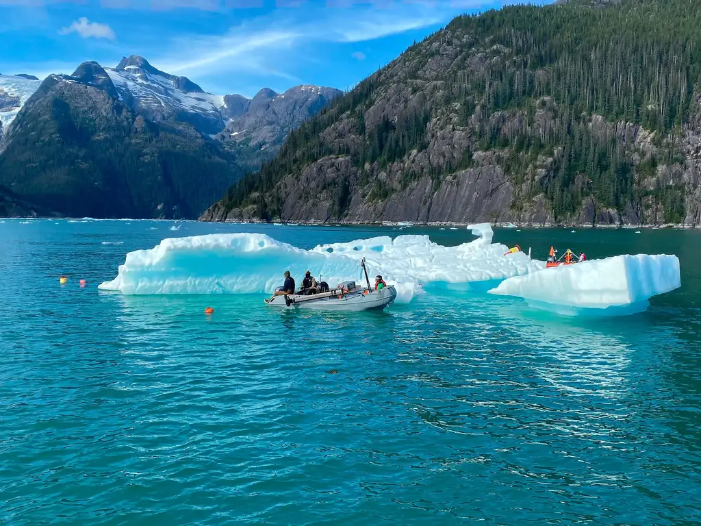 Glacier-Ice-in-LeConte-Bay.webp