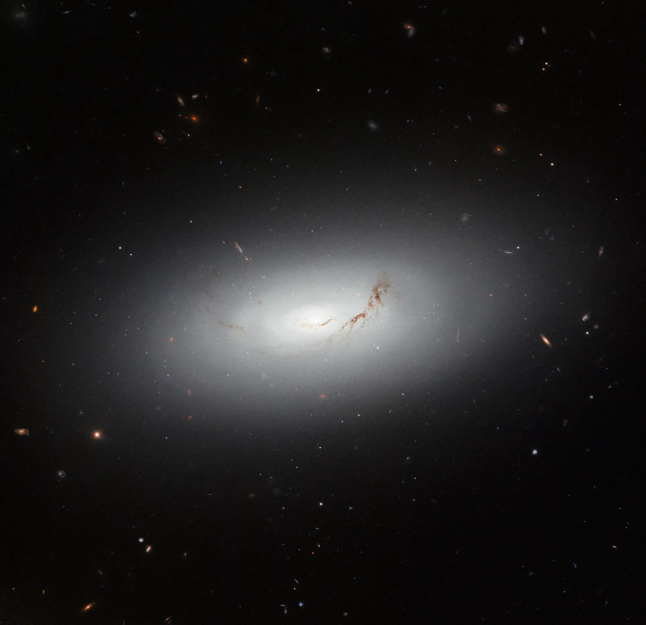 Galaxy-NGC-3156.webp