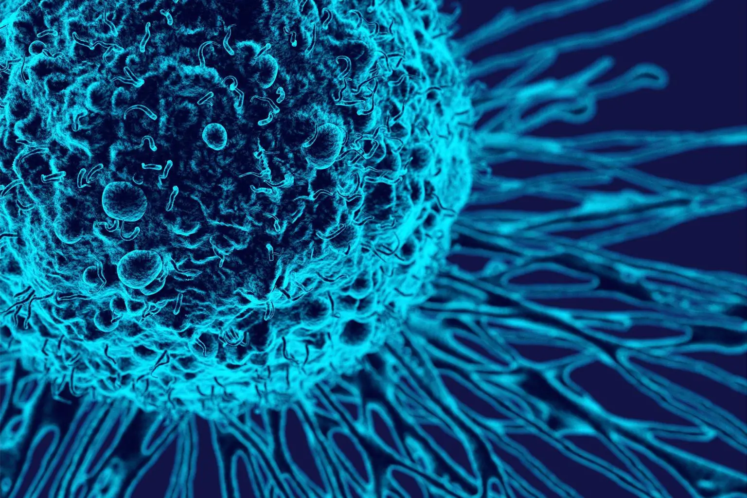 Cancer-Cell-Biology-Illustration-1536x1024.webp