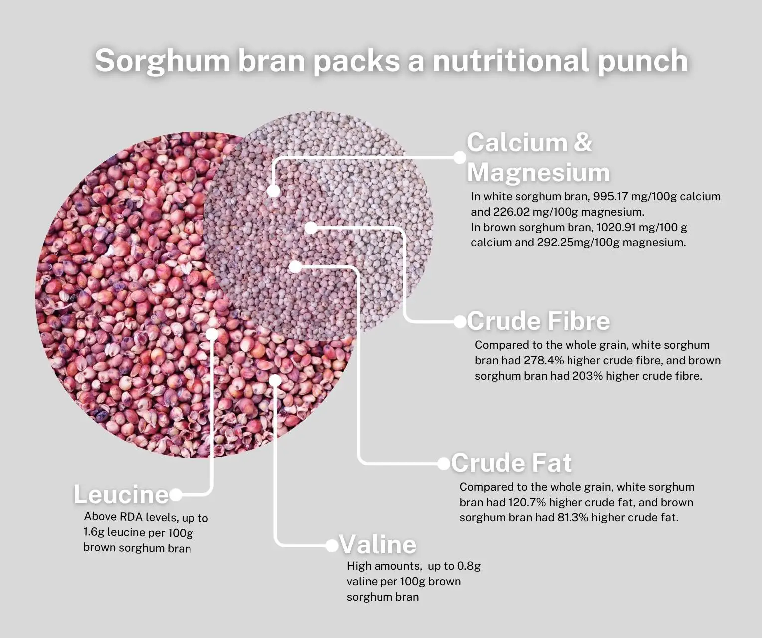Sorghum-Bran-Packs-High-Levels-of-Minerals-and-Essential-Amino-Acids.webp