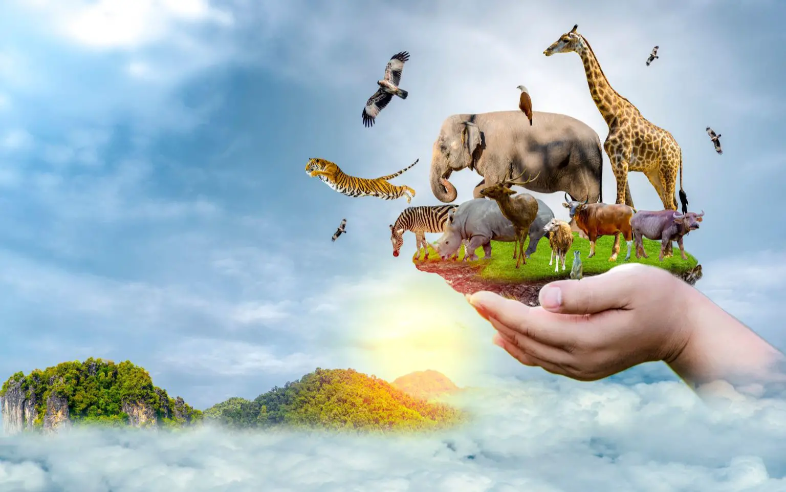 Wildlife-Conservation-1536x961.webp