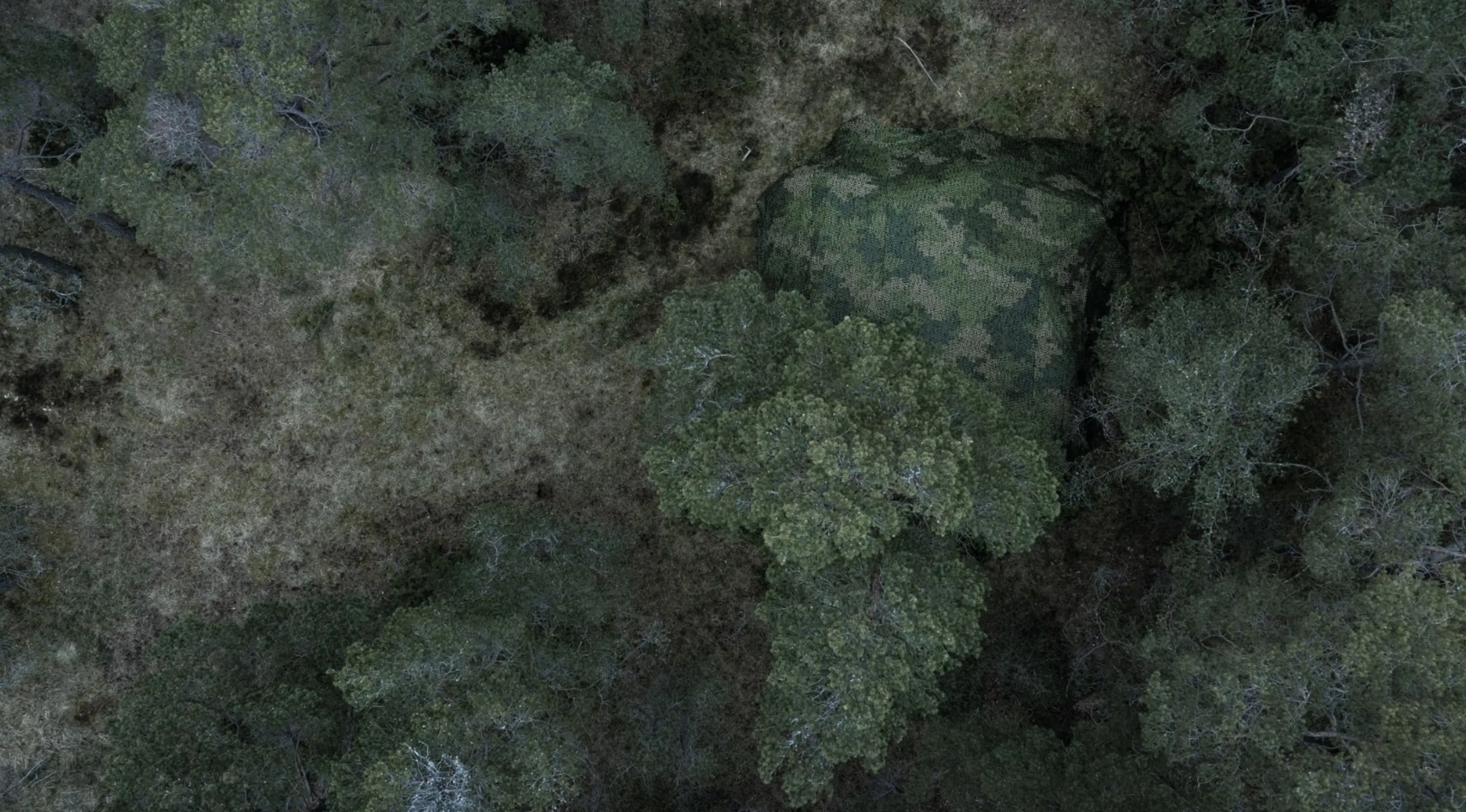 无标题.webp