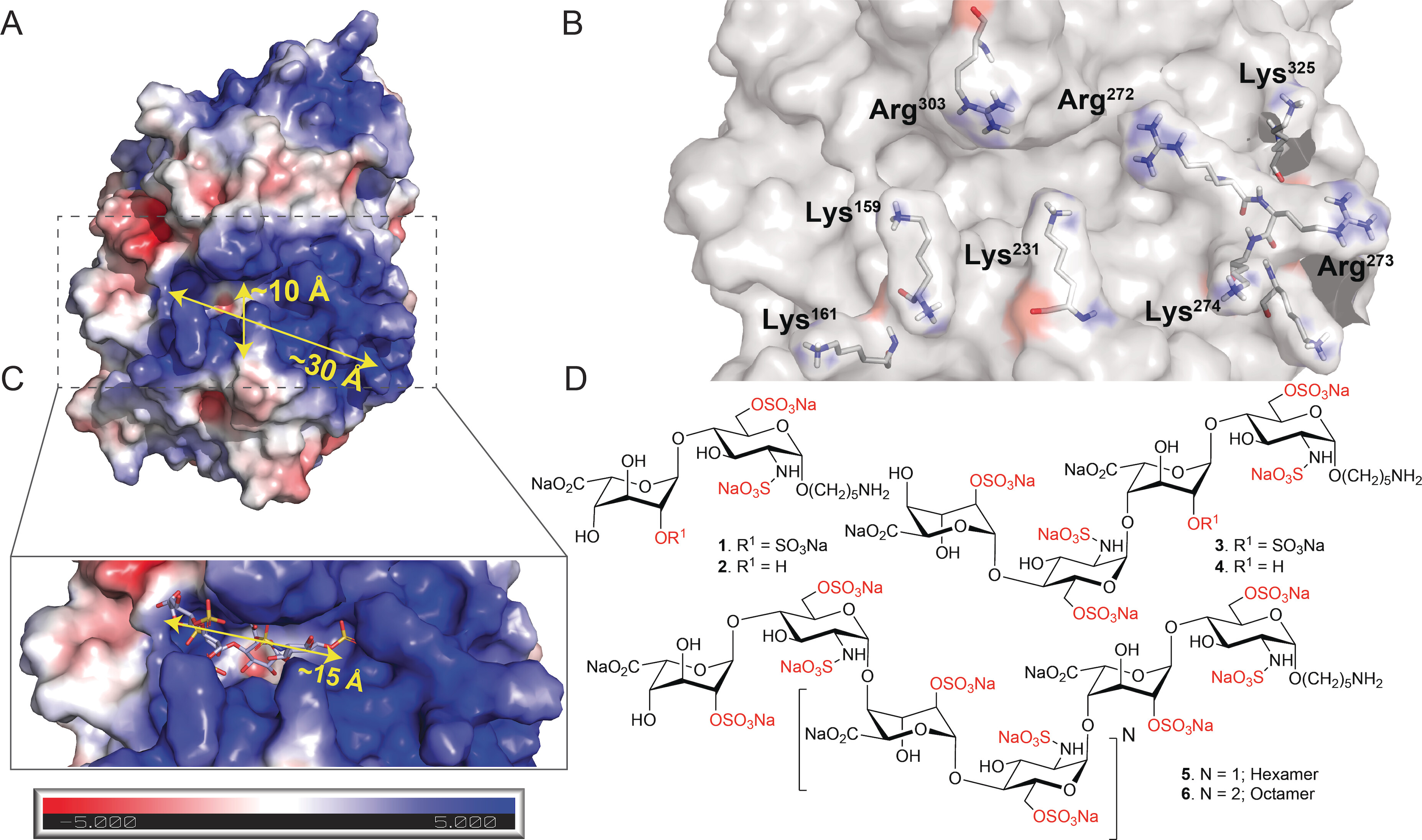 ange202309838-fig-0001-m.jpg
