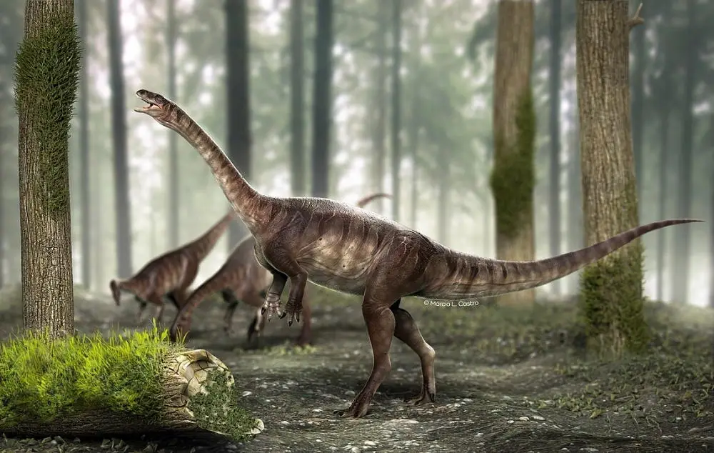 Bone-Cavities-Dinosaur.webp