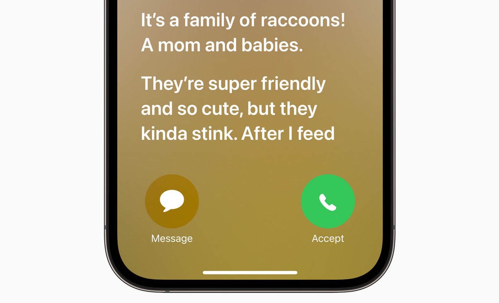Live-Voicemail-iOS-17.jpg
