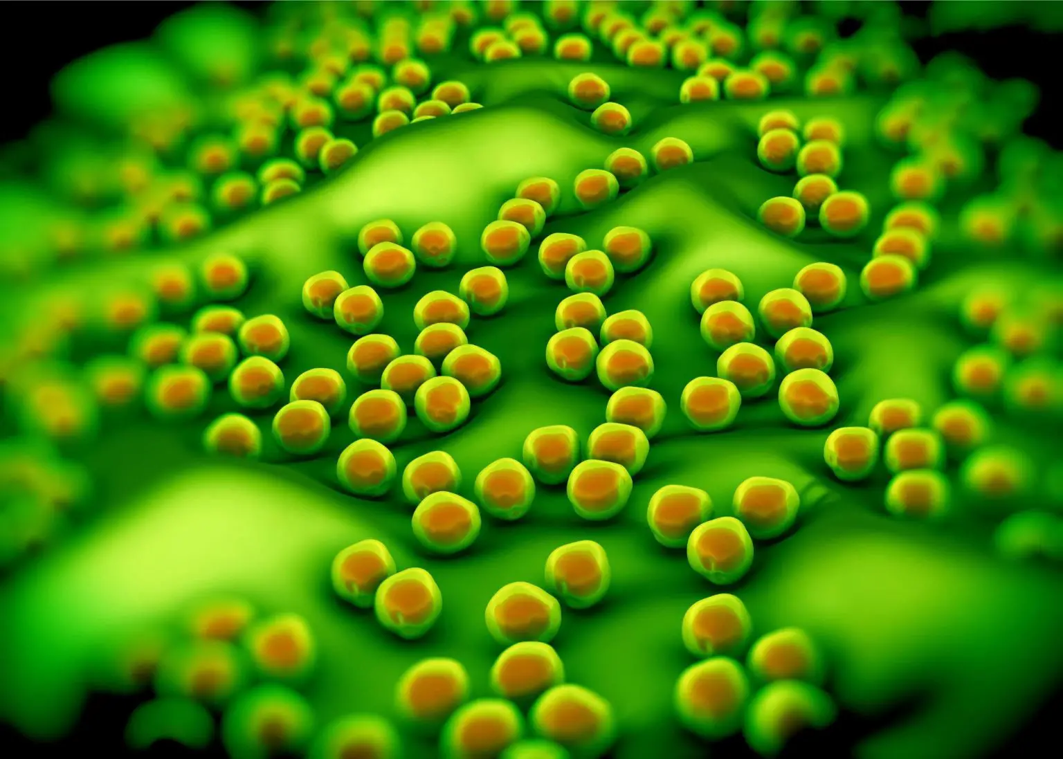 Superbug-MRSA-Bacteria-Concept-1536x1097.webp