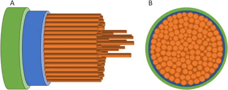 Proposed-Structure-of-Spider-Silk.webp