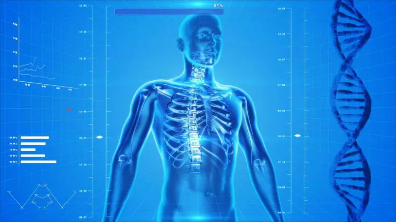 Human-Body-Genetics-777x437.webp