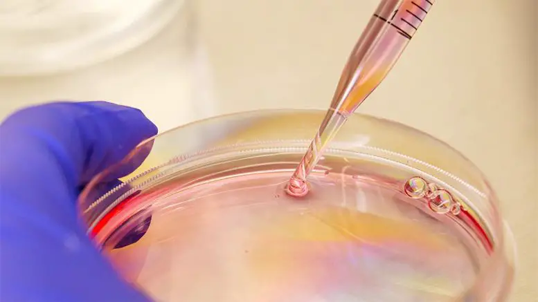 Boosting-Immune-System-Memory-Against-Influenza-777x437.webp