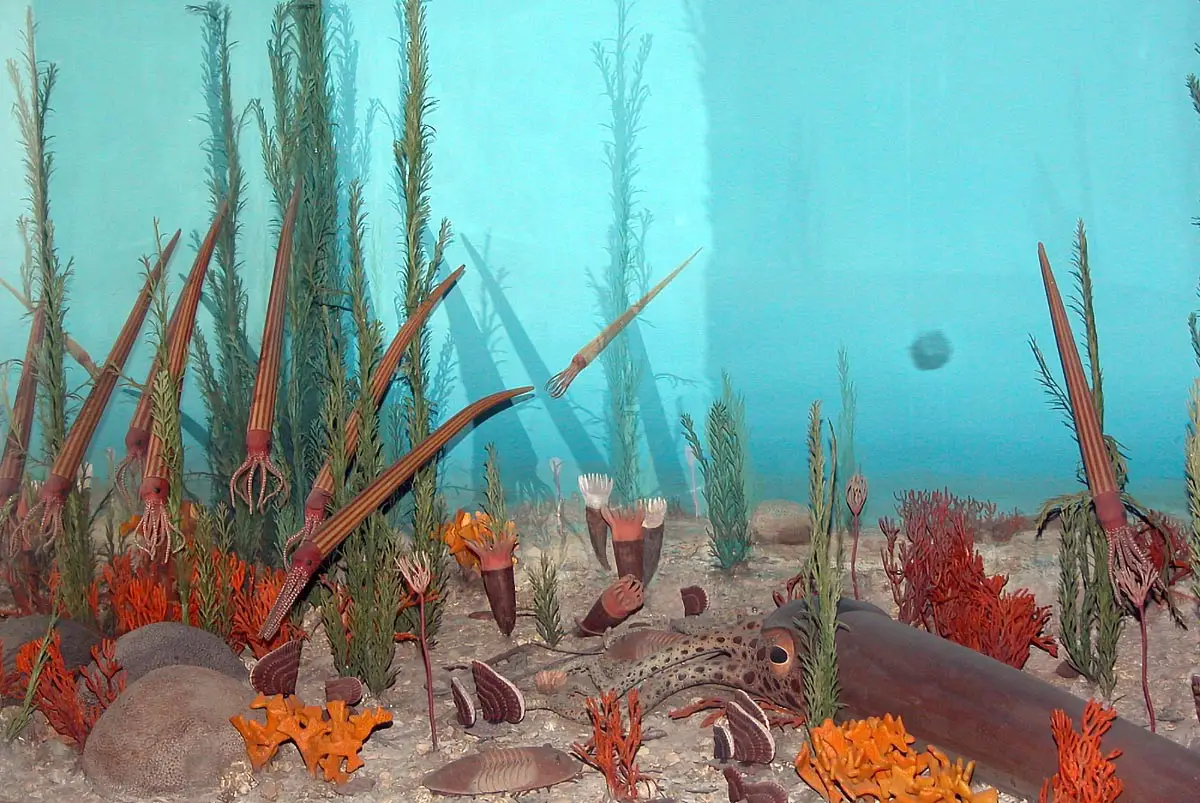 Ordovician-Seascape.webp
