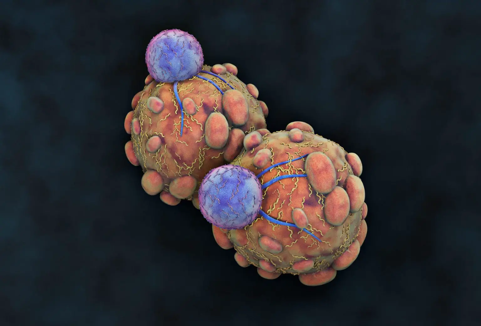 Cancer-Cells-Attacked-By-Natural-Killer-Cells-1536x1040.webp