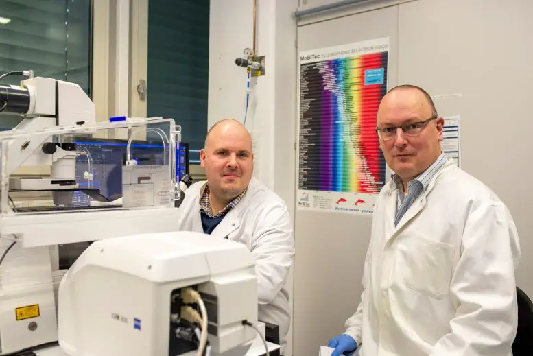 Markus-Hoffmann-and-Stefan-Pohlmann-1-777x519.webp