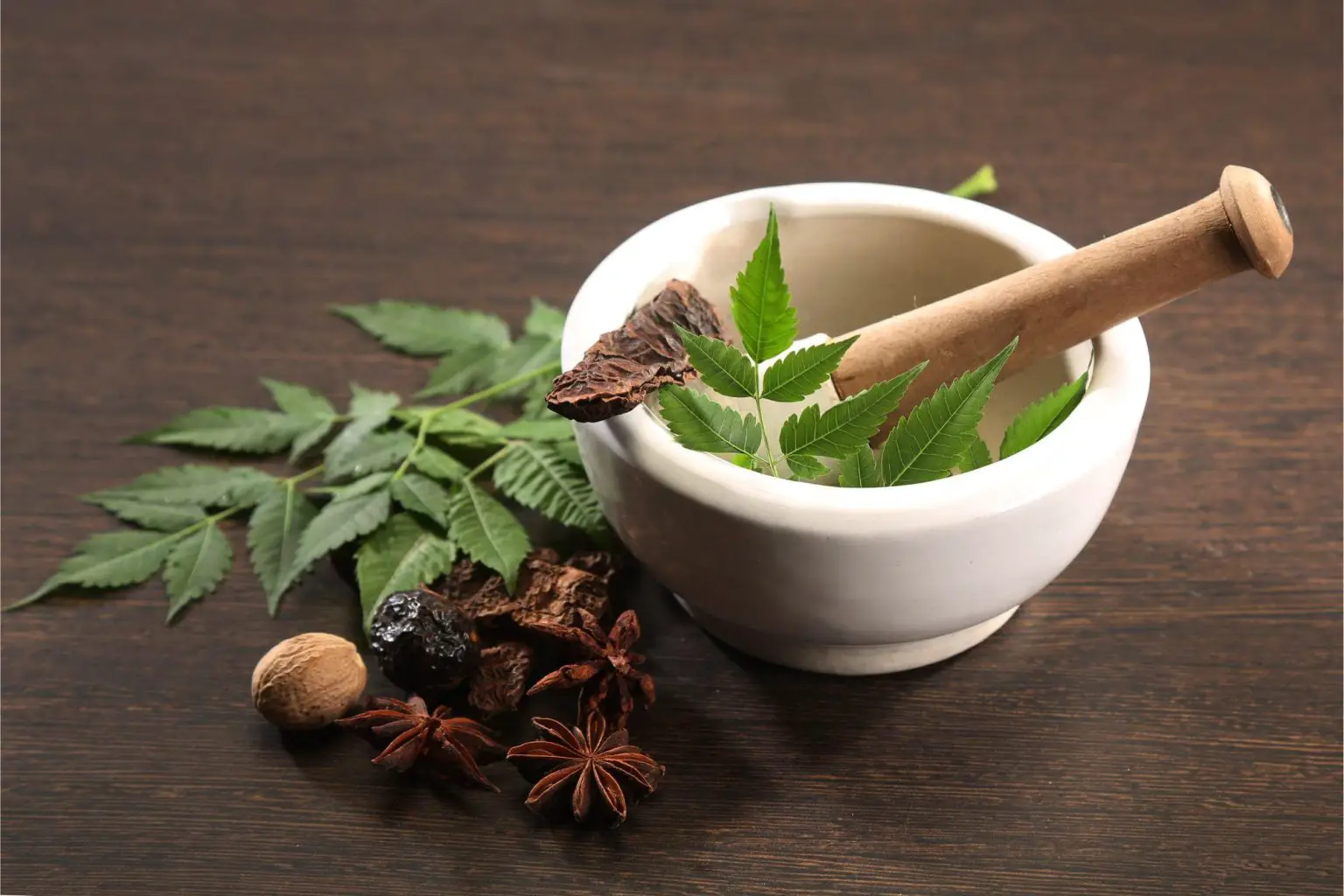 Ayurvedic-Herbs-Medicine-1536x1024.webp