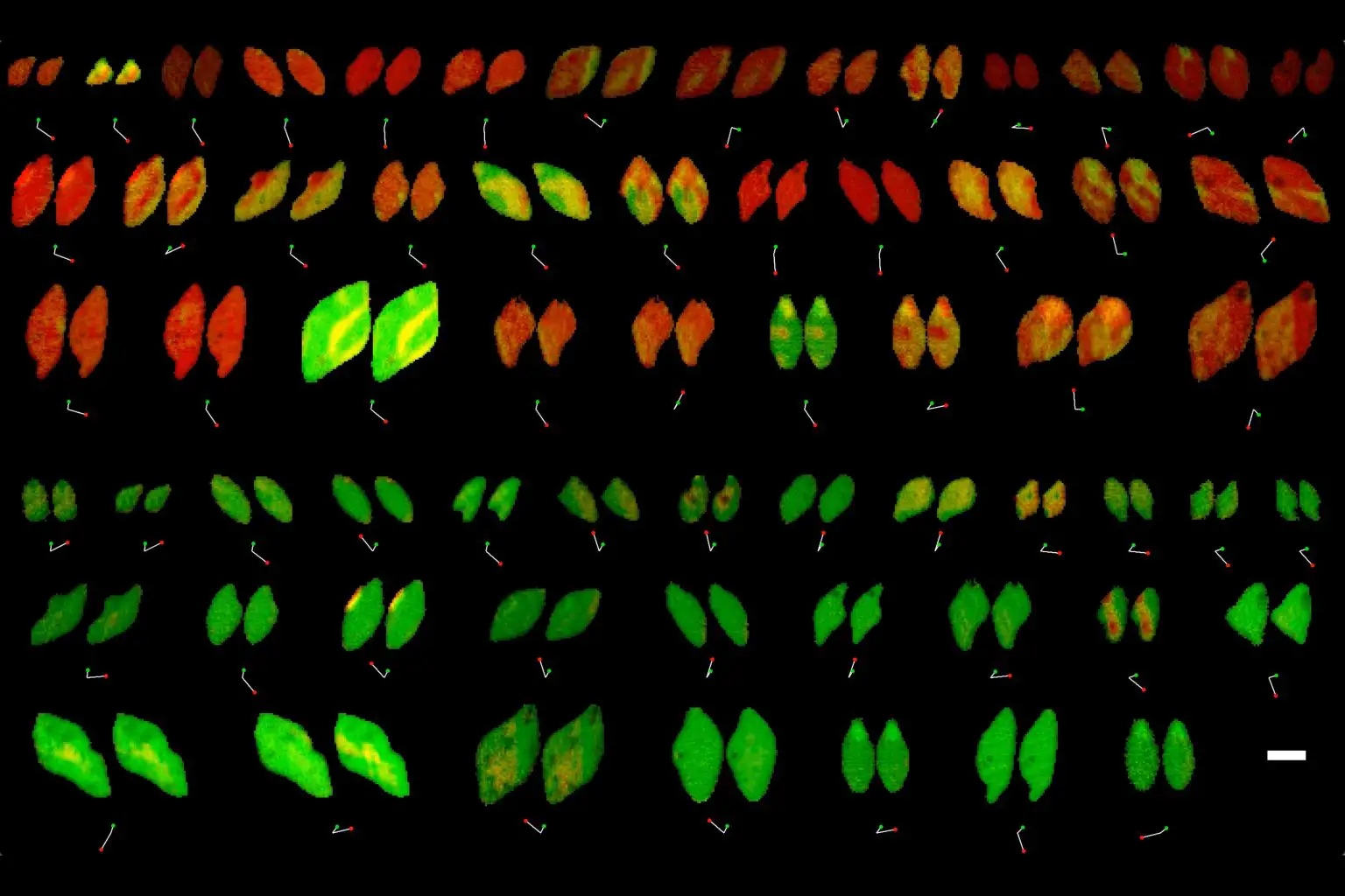 Reactivity-of-Lithium-Iron-Phosphate-1536x1024.webp
