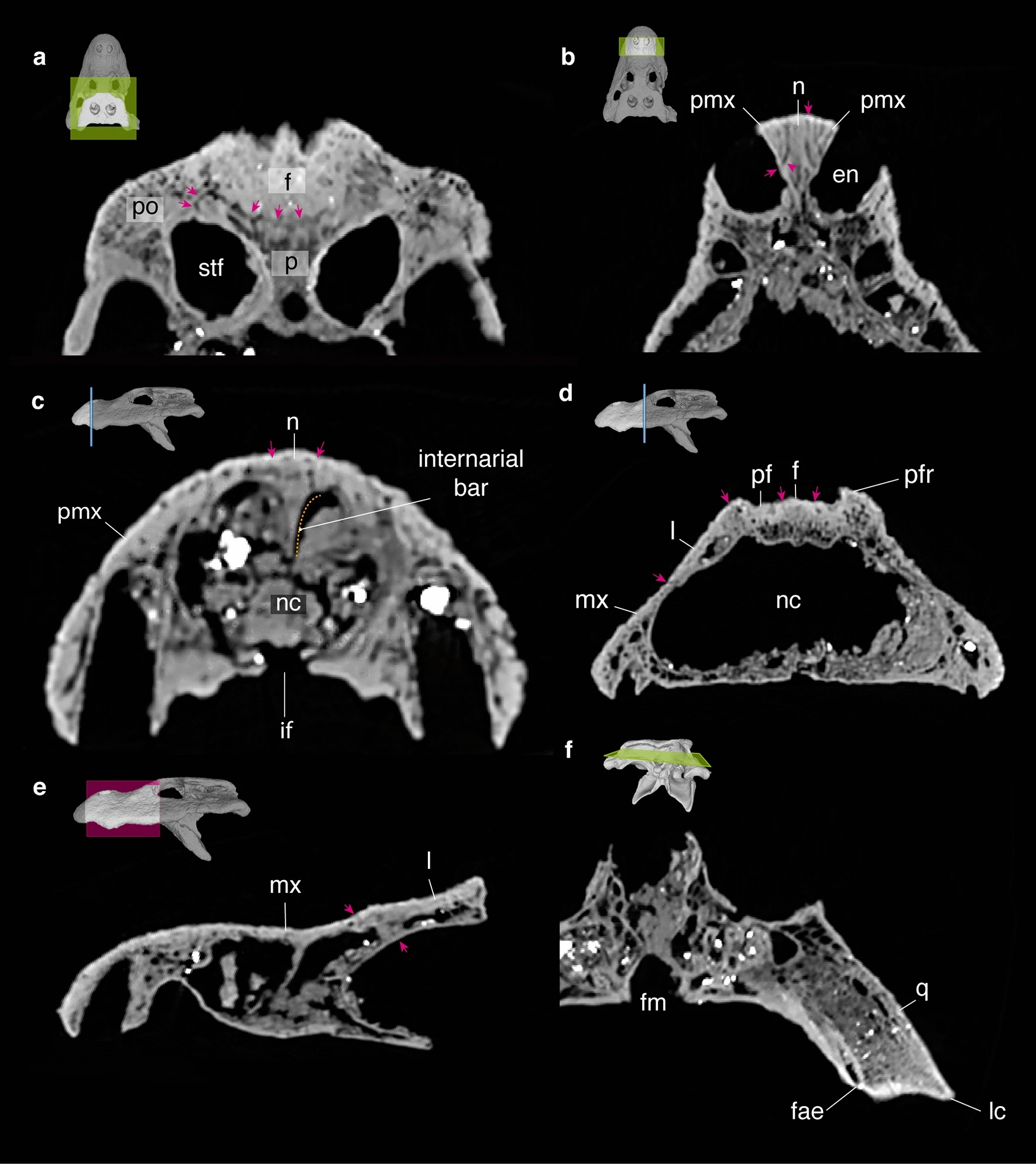 41598_2023_36559_Fig4_HTML.webp
