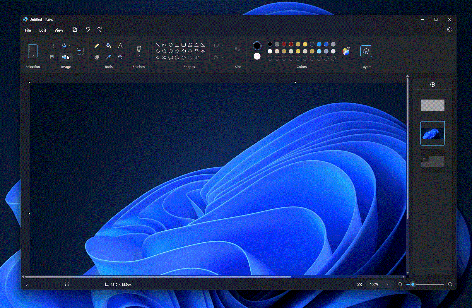 Photoshop-Paint-update.gif