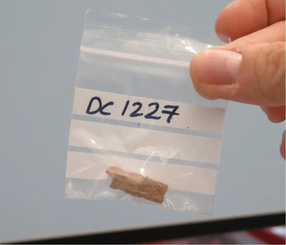 Remaining-Denisova-11-Bone-Fragment.webp