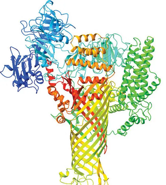 Computer-Generated-3D-Maps-of-a-Bacterial-Protein-Called-DspE.webp