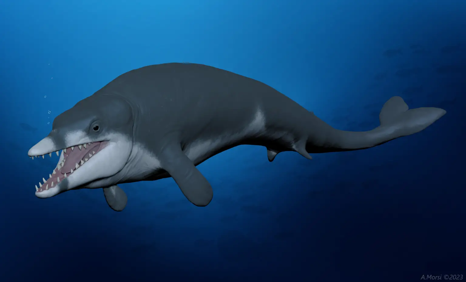 Tutcetus-rayanensis-1536x931.webp