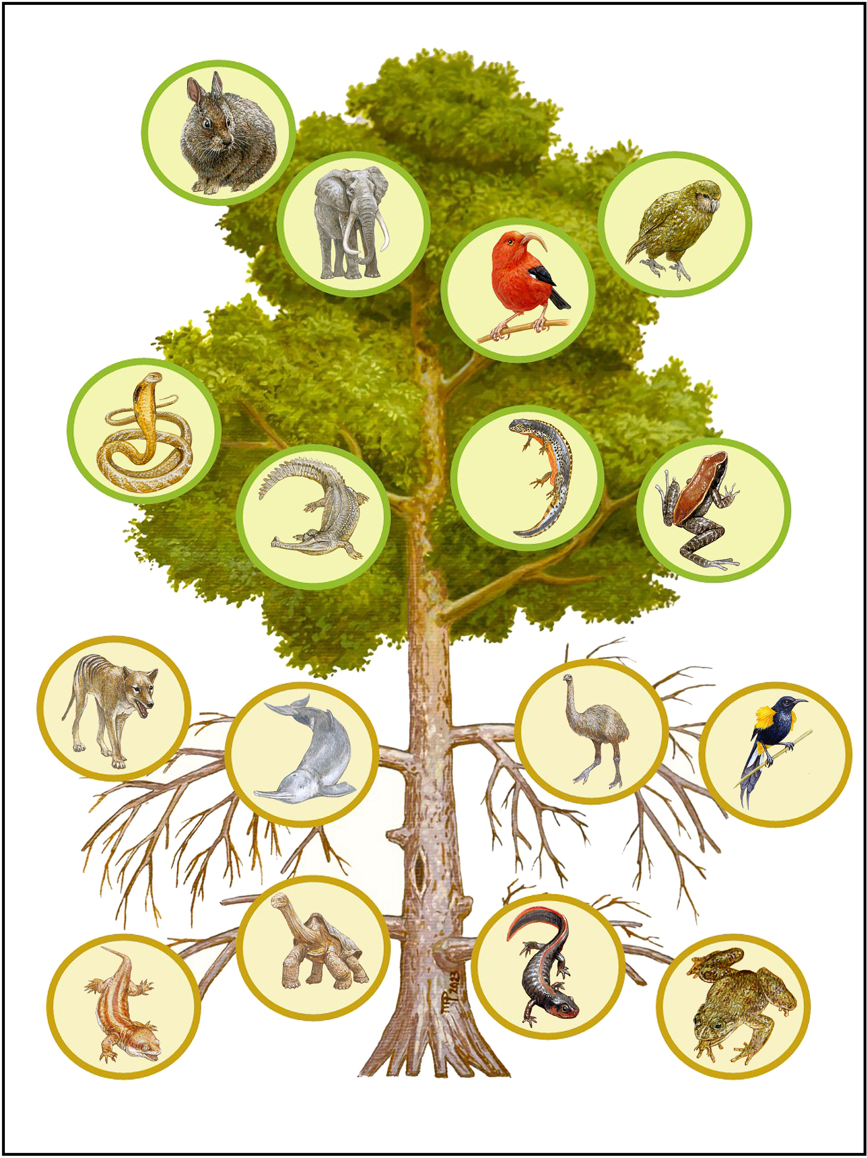 pnas.2306987120fig01.jpg