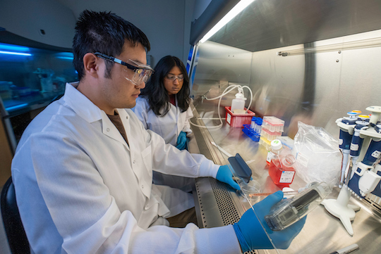 230911_Gao Lab_Gustavo-08953_540_0.jpeg