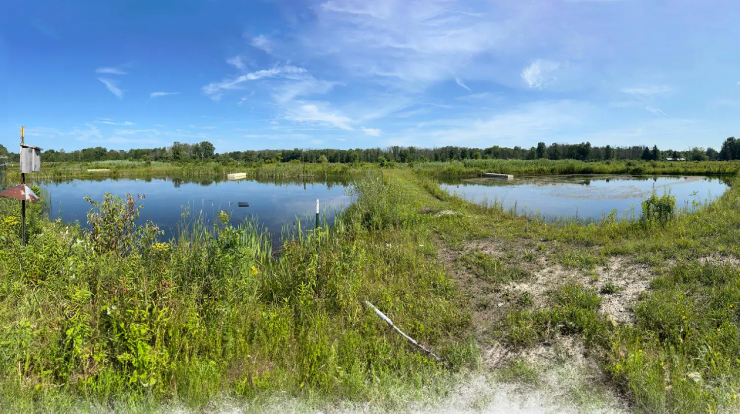 Cornell-Experimental-Ponds.webp