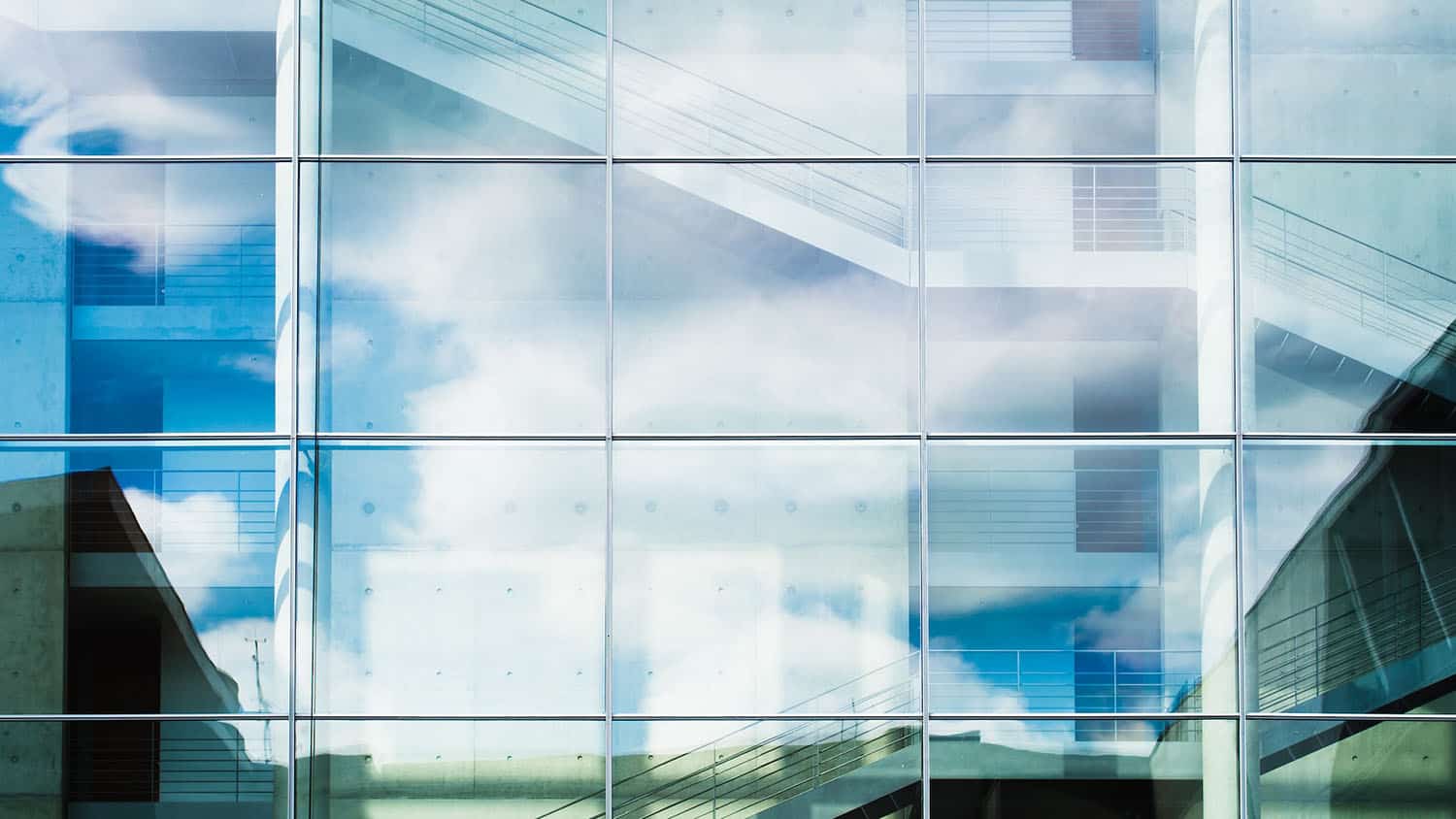 Augustyn-windows-2023-HEADER.jpg