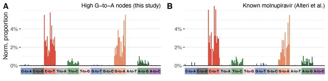 Comparison-of-COVID-19-Mutations-Molnupiravir.webp