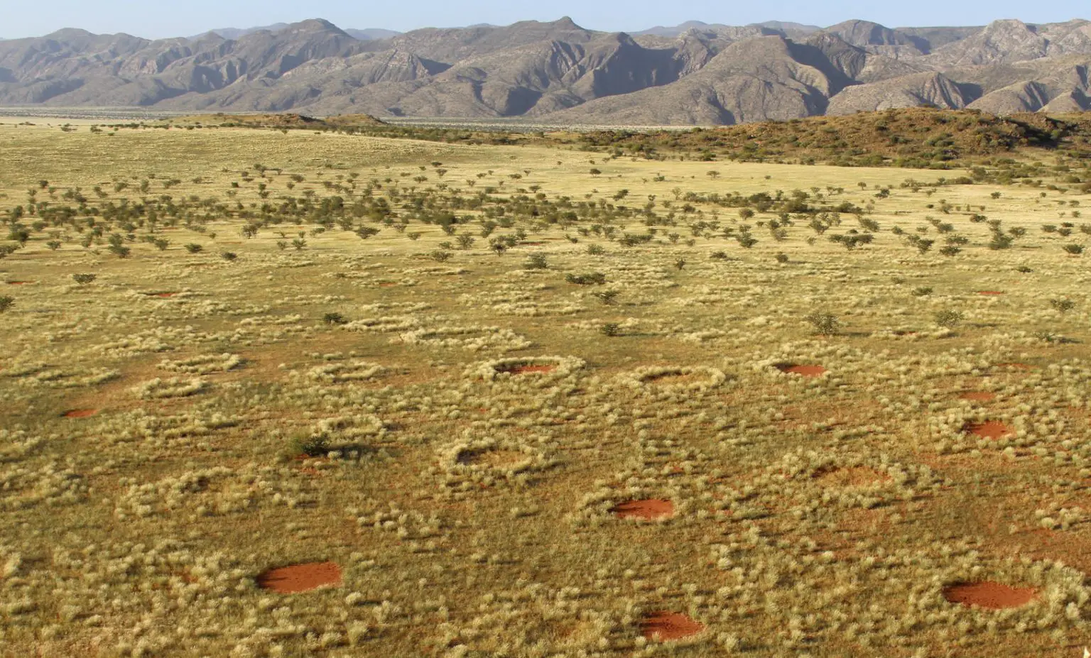 Fairy-Circles-in-the-Namib-Desert-1536x927.webp