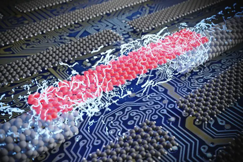 Carbon-Nanotube-Electrodes-Attached-to-Individual-Atomically-Precise-Nanoribbons-777x518.webp