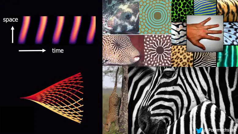 Animated-Stripe-Patterns-in-Space-Time-777x437.webp