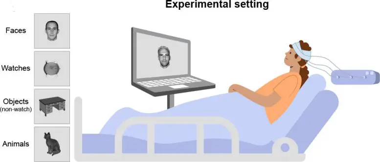 Conscious-Experience-in-Brain-Experimental-Setting-777x331.webp