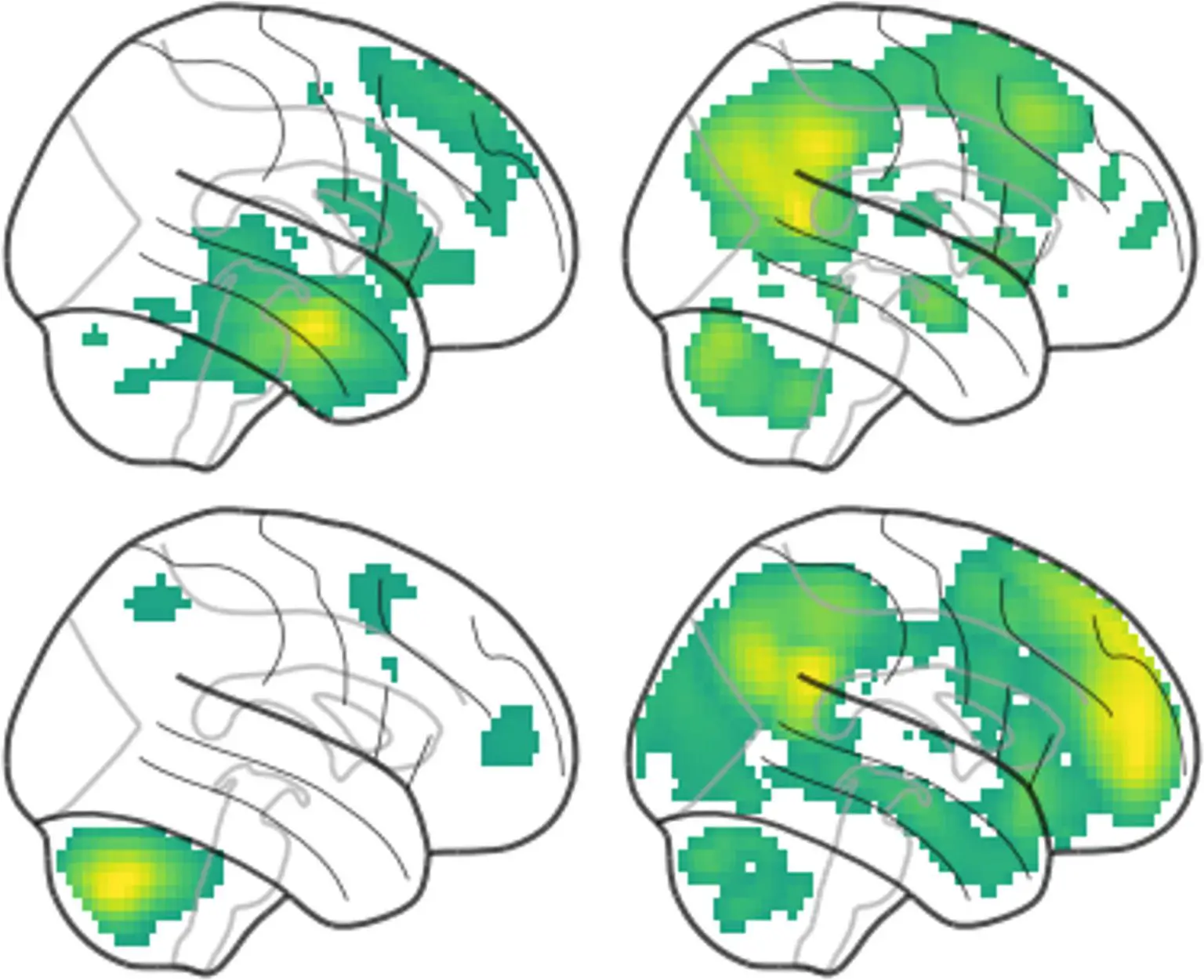 Functional-Networks-Associated-With-Individual-Differences-in-Memory-Performance-1536x1251.webp