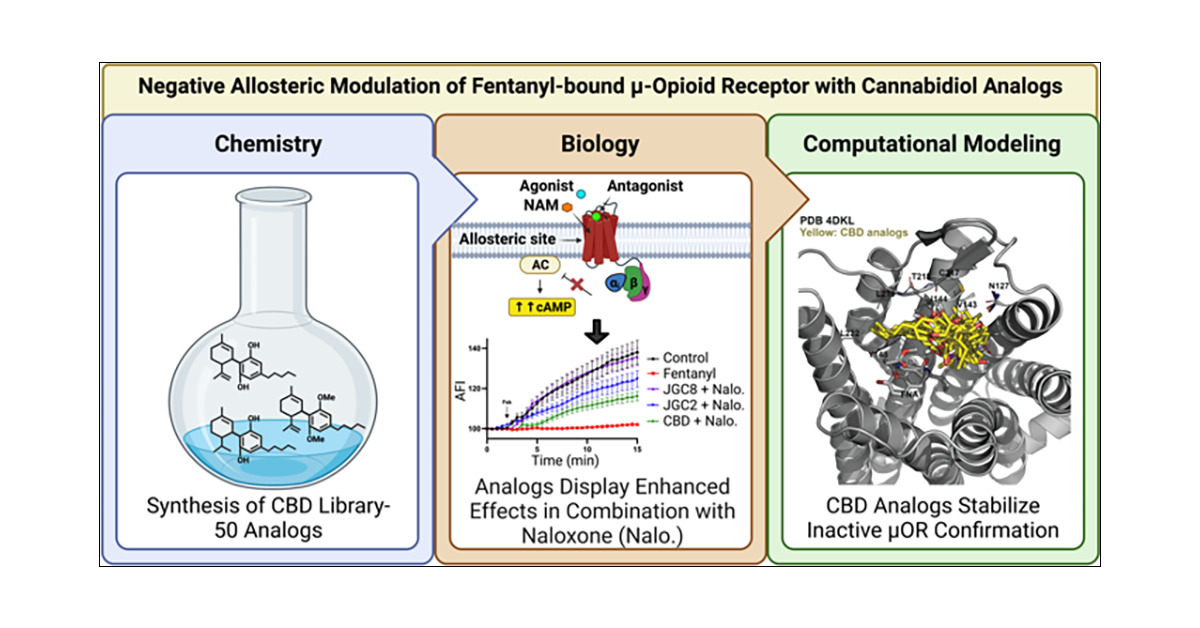 images_acs.jmedchem.3c00061.social.jpeg