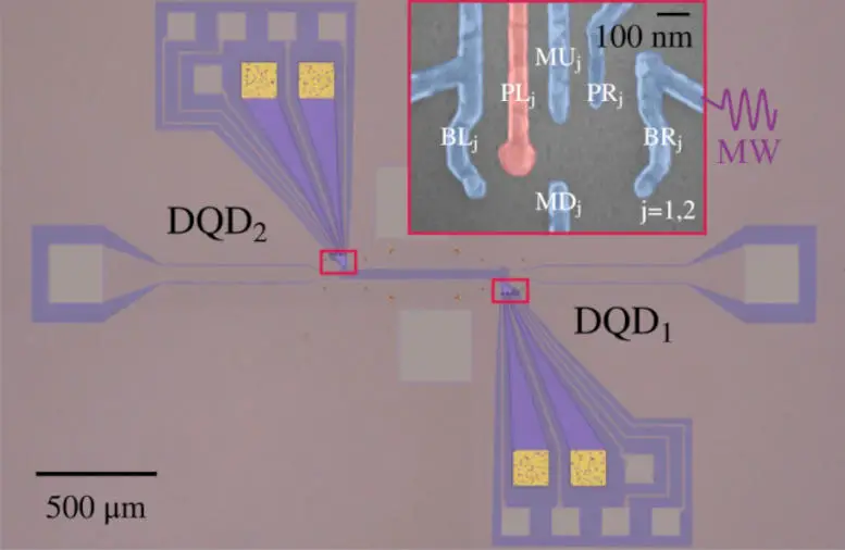 Optical-Micrograph-of-the-DQD-Cavity-Composite-Device.webp