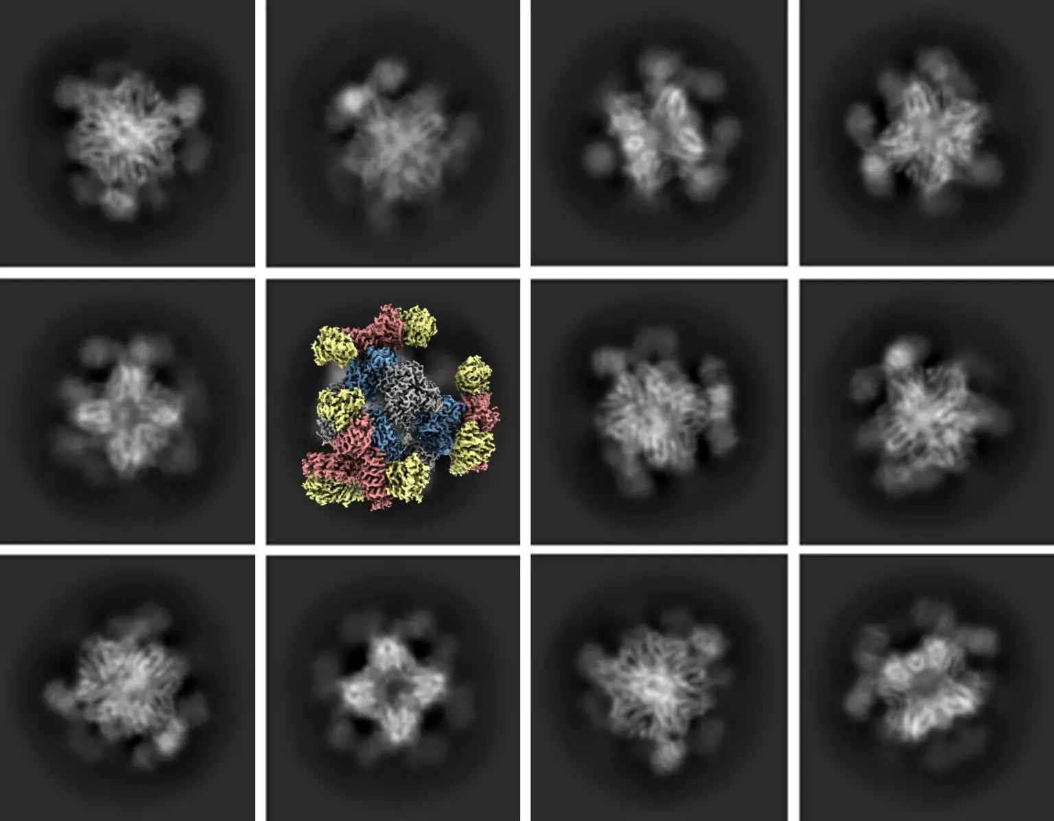 Small-Protein-Scaffold-1536x1197.webp