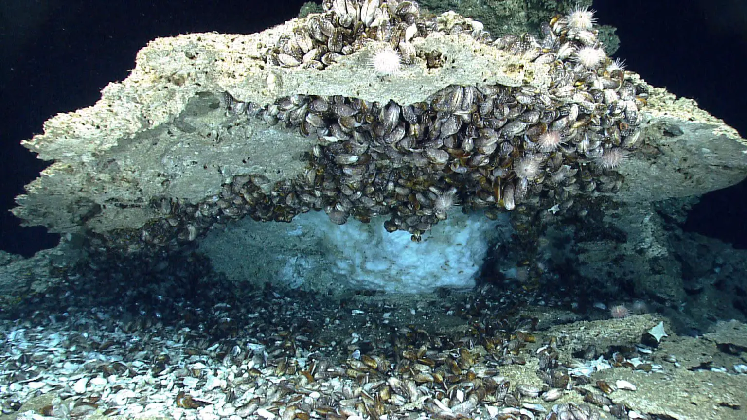 Methane-Clathrate-1536x864.webp