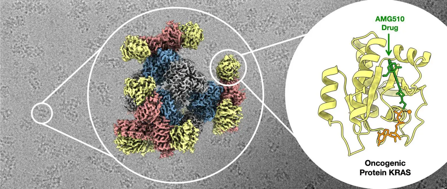 Scaffolds-Attached-to-KRAS-Protein-1536x650.webp