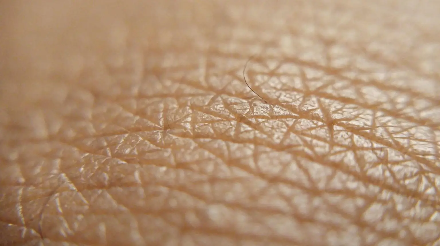 Skin-Close-Up-1536x857.webp