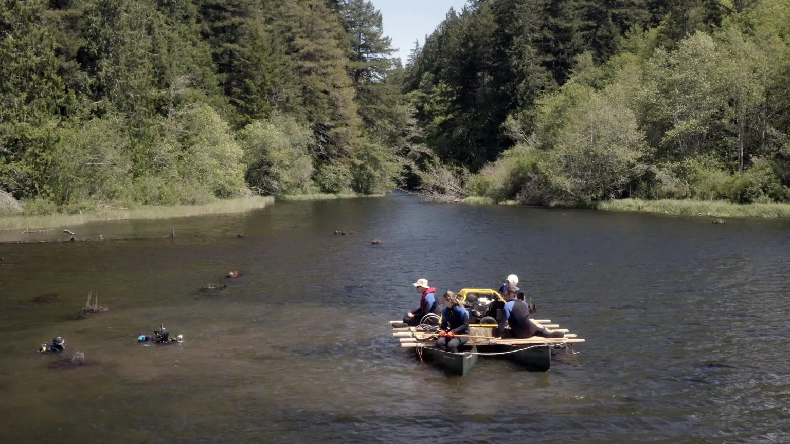Collecting-Samples-Eastern-Olympic-Mountains-1536x864.webp
