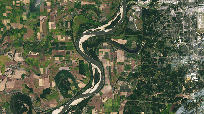 Mississippi-River-Parched.gif
