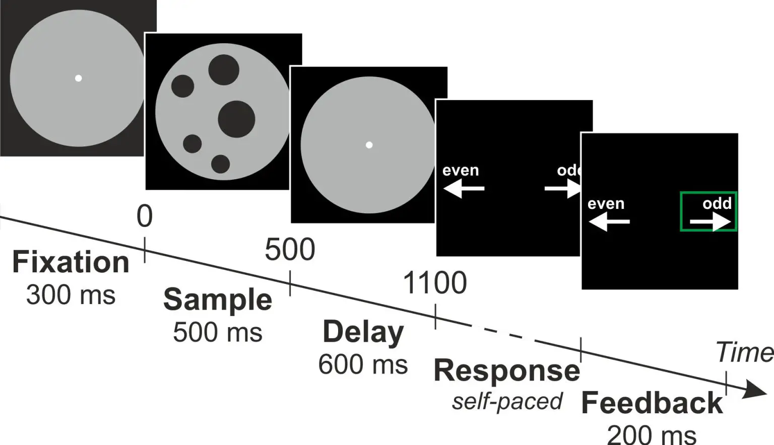 Set-of-Dots-Visual-Graph-Study-Participants-1536x884.webp