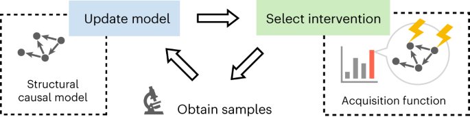 42256_2023_719_Fig1_HTML.png
