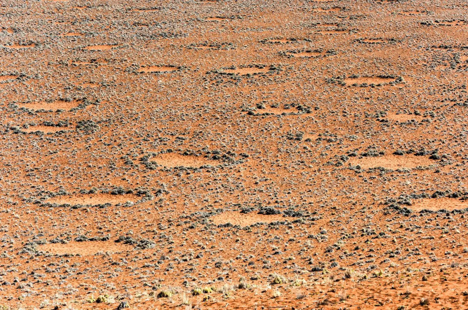 Fairy-Circles-Desert-1536x1016.webp